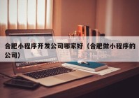 合肥小程序开发公司哪家好（合肥做小程序的公司）