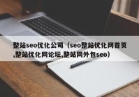 整站seo优化公司（seo整站优化网首页,整站优化网论坛,整站网外包seo）