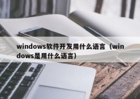 windows软件开发用什么语言（windows是用什么语言）