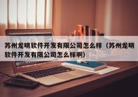 苏州龙明软件开发有限公司怎么样（苏州龙明软件开发有限公司怎么样啊）