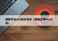 湖南平台seo优化技术（湖南正规seo公司）