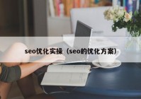 seo优化实操（seo的优化方案）