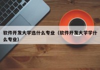 软件开发大学选什么专业（软件开发大学学什么专业）