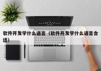 软件开发学什么语言（软件开发学什么语言合适）