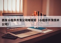 西安小程序开发公司哪家好（小程序开发技术公司）